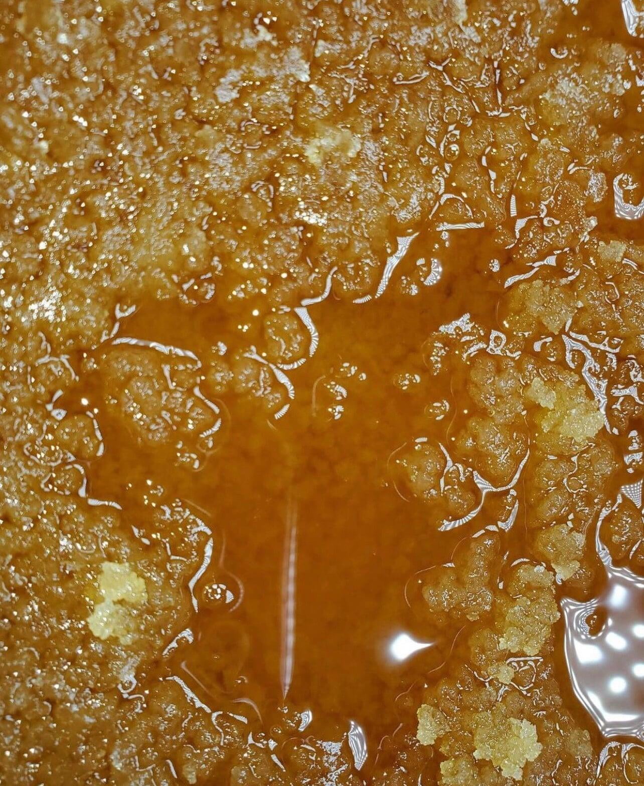 Juicer Extractions Home